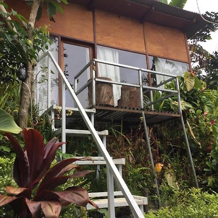 Jungleadventure Cabin Camping Bedugul  Luaran gambar